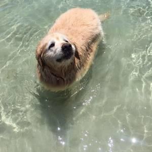 Meet your Posher, Vicki